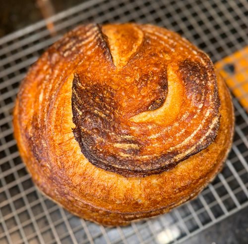 Classic Sourdough - 33 oz.