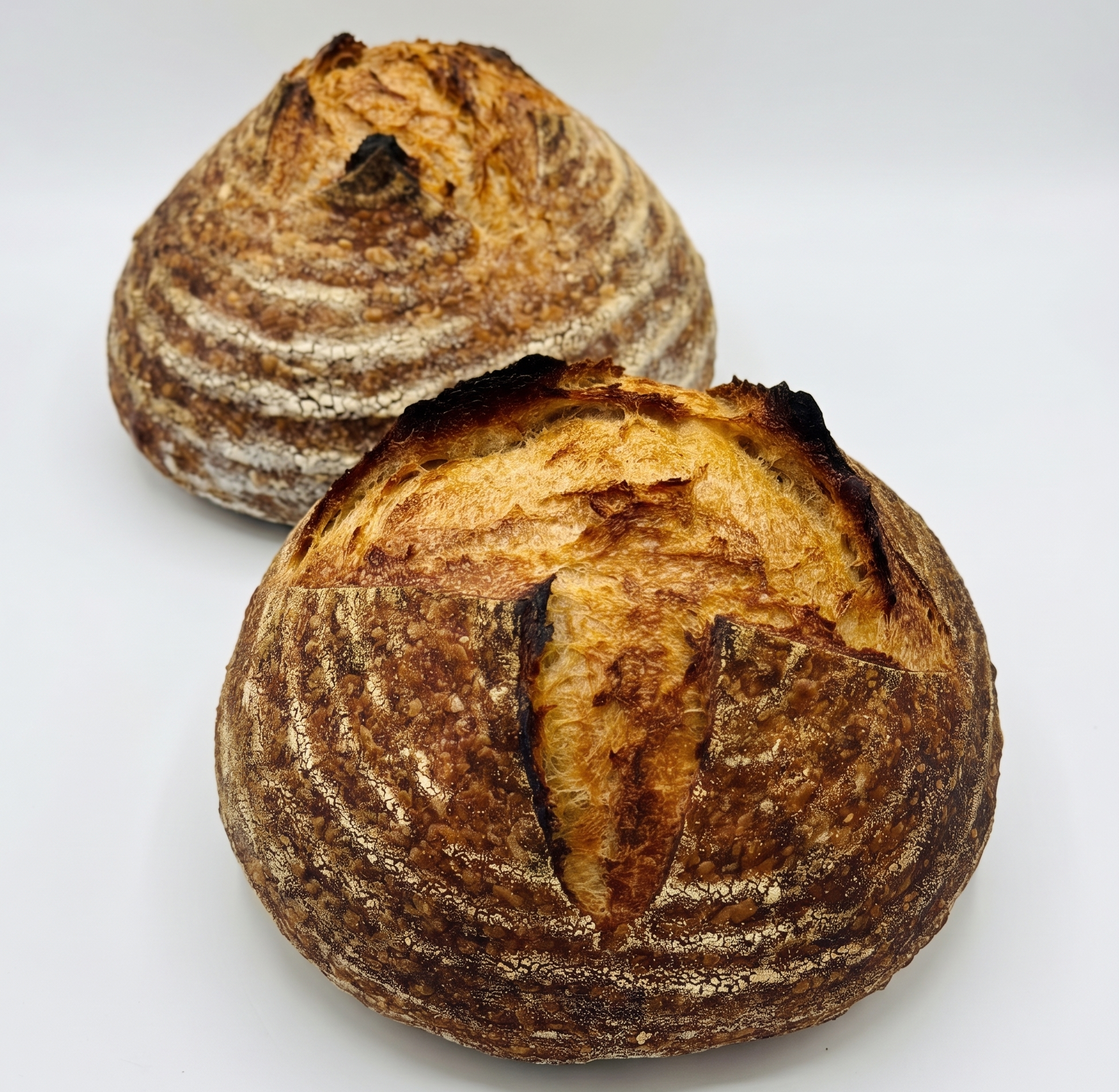 Classic Sourdough - 33 oz.